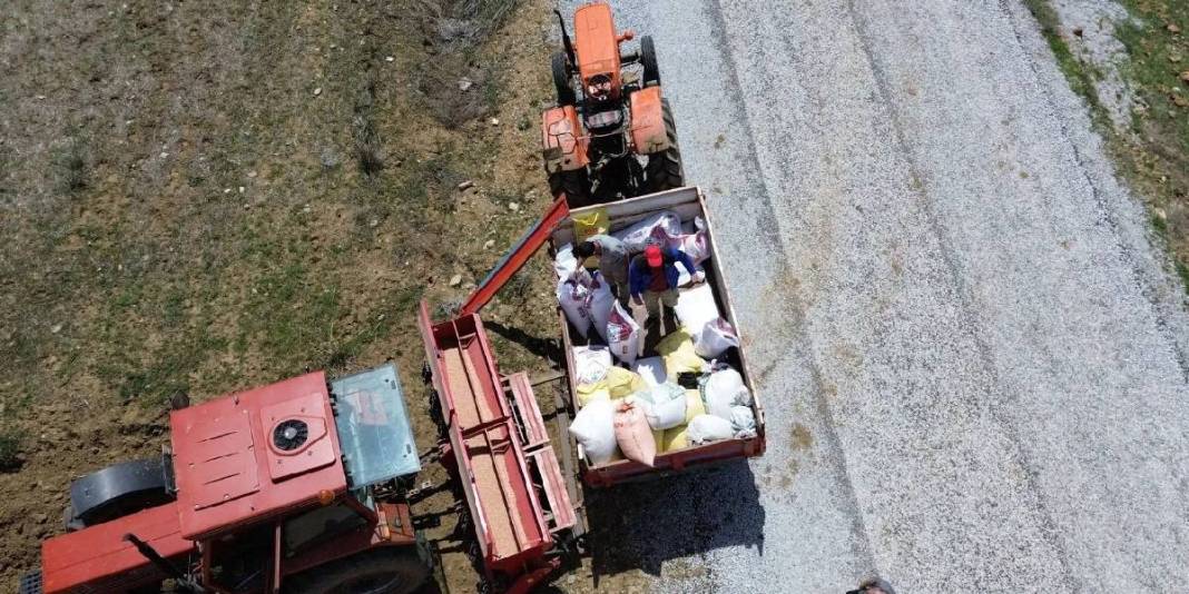 Yağışlar çiftçiyi umutlandırdı: Nohutta rekolte beklentisi arttı 6